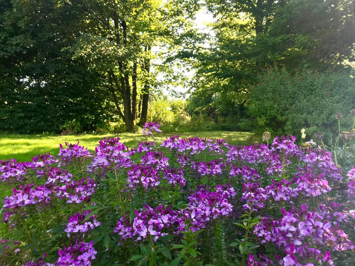 "Un Matin Au Jardin" Bed and Breakfast Francorchamps Buitenkant foto